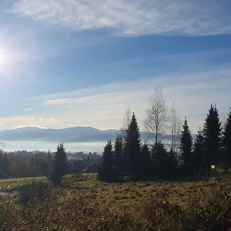 Na Cedrowej Bierna