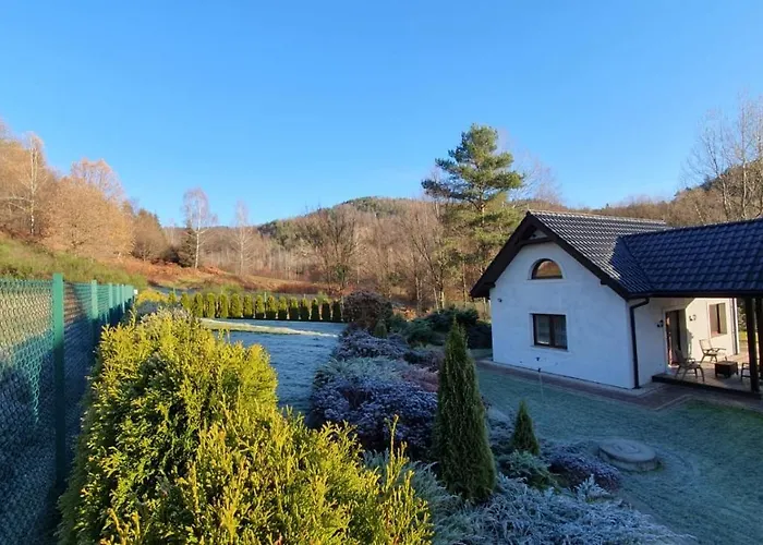 Na Cedrowej * Bierna